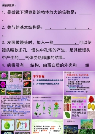 八年级生物上册 第6单元 第1章 第1节 尝试对生物进行分类课件 (新版)新人教版 课件