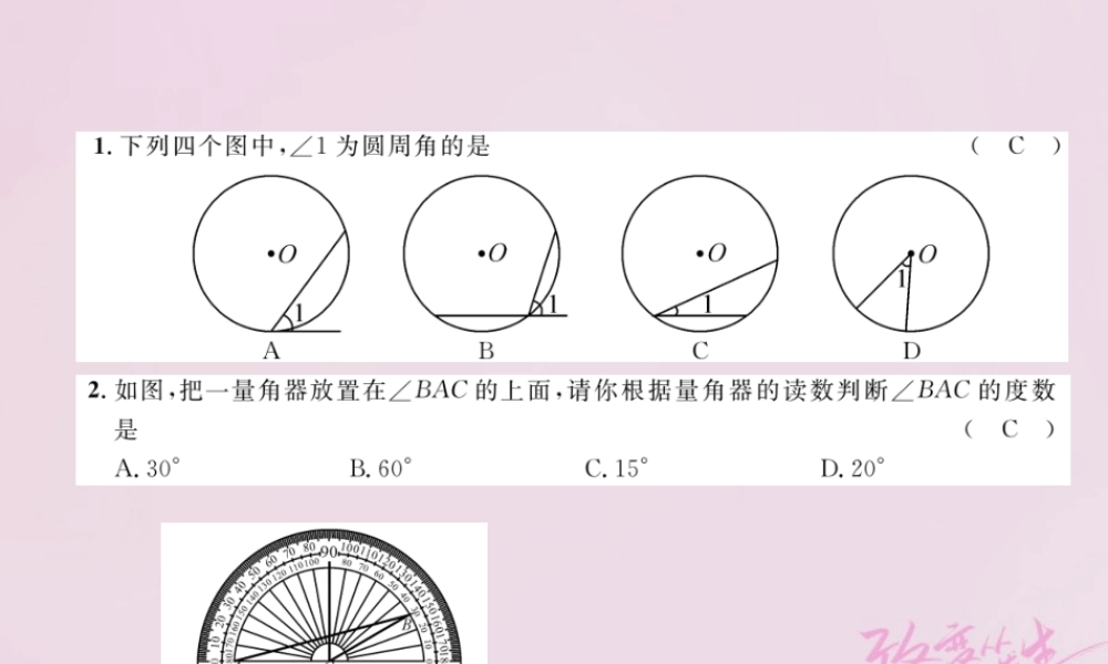 九年级数学上册 241 圆的有关性质 2414 圆周角练习课件 (新版)新人教版 课件