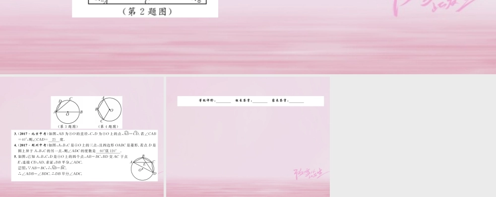 九年级数学上册 241 圆的有关性质 2414 圆周角练习课件 (新版)新人教版 课件