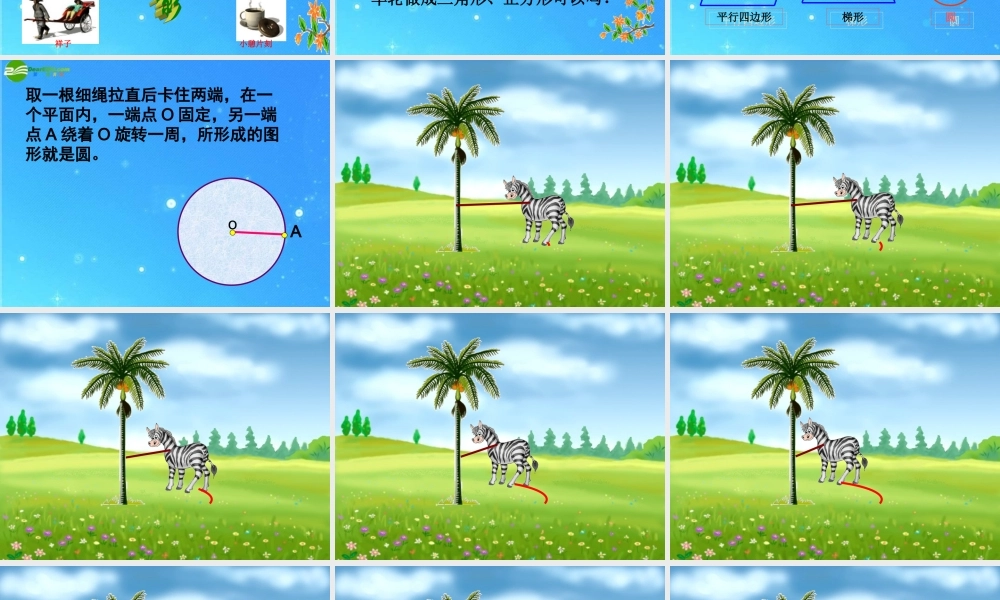 九年级数学上册 221圆的有关概念 课件 北京课改版 课件