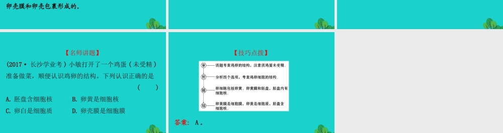 八年级生物下册 7.1.4鸟的生殖和发育习题课件(新版)新人教版 课件