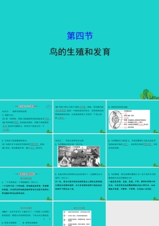 八年级生物下册 7.1.4鸟的生殖和发育习题课件(新版)新人教版 课件