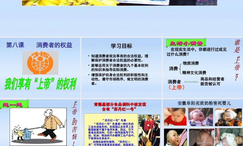 八年级政治下册 我们享有上帝的权利公开课课件 人教新课标版 课件