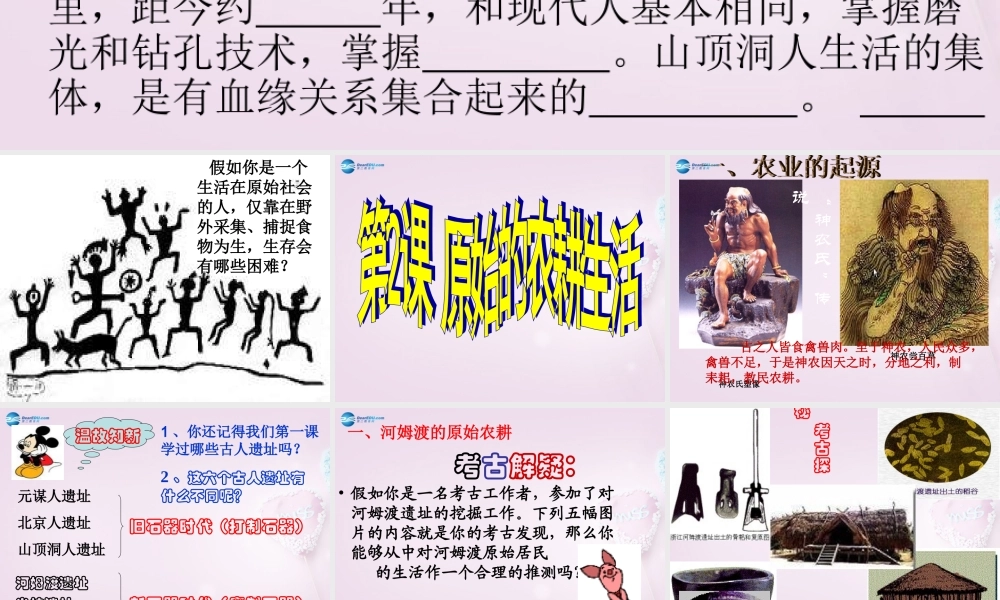 中学七年级历史上册 第2课 原始的农耕生活课件 新人教版