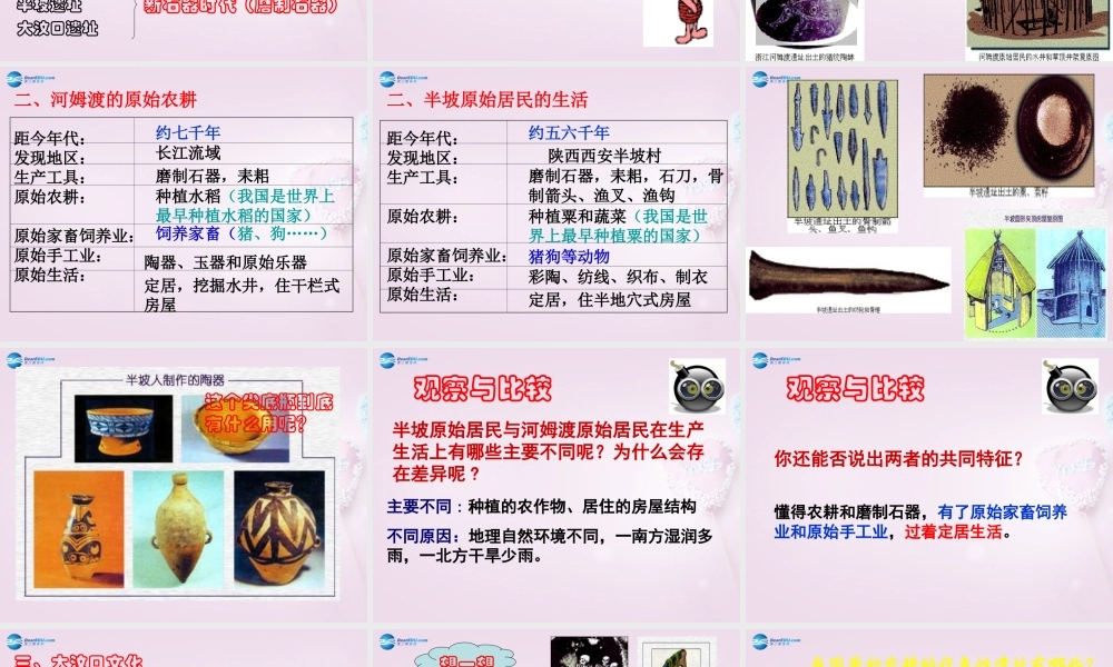 中学七年级历史上册 第2课 原始的农耕生活课件 新人教版