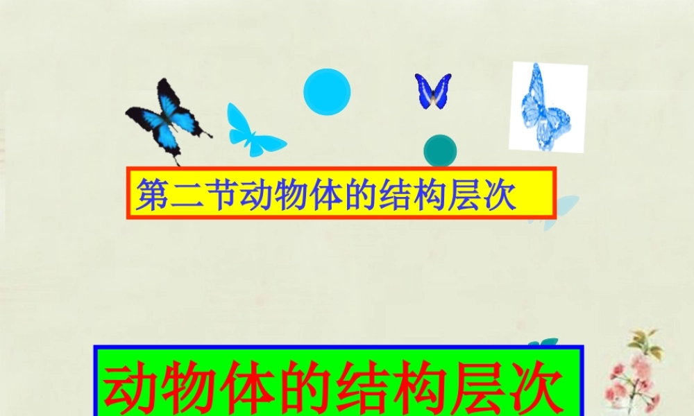 七年级生物上册 2.2.2 动物体的结构系统课件 (新版)新人教版 课件