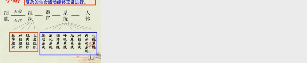 七年级生物上册 2.2.2 动物体的结构系统课件 (新版)新人教版 课件