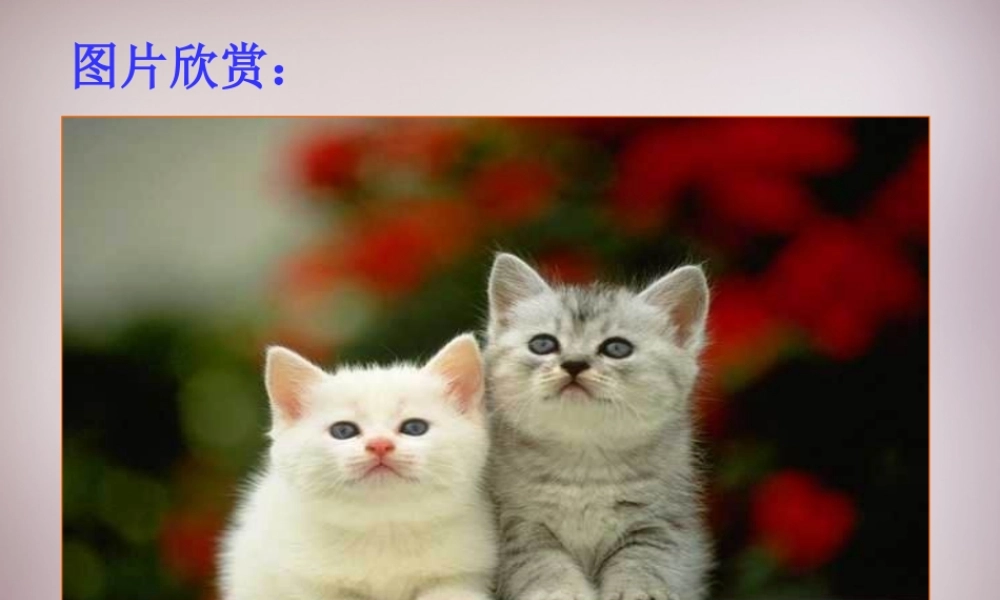 七年级语文上册 第五单元 第21课(猫)课件 (版)新人教版 课件