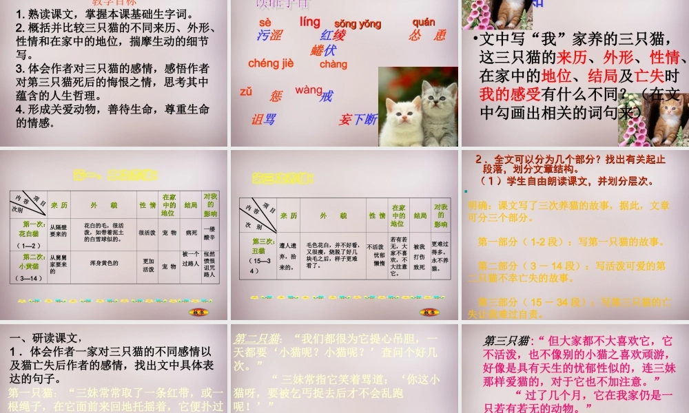 七年级语文上册 第五单元 第21课(猫)课件 (版)新人教版 课件