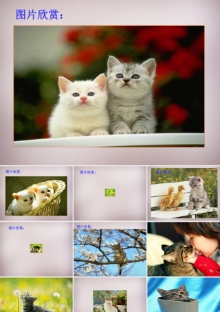 七年级语文上册 第五单元 第21课(猫)课件 (版)新人教版 课件