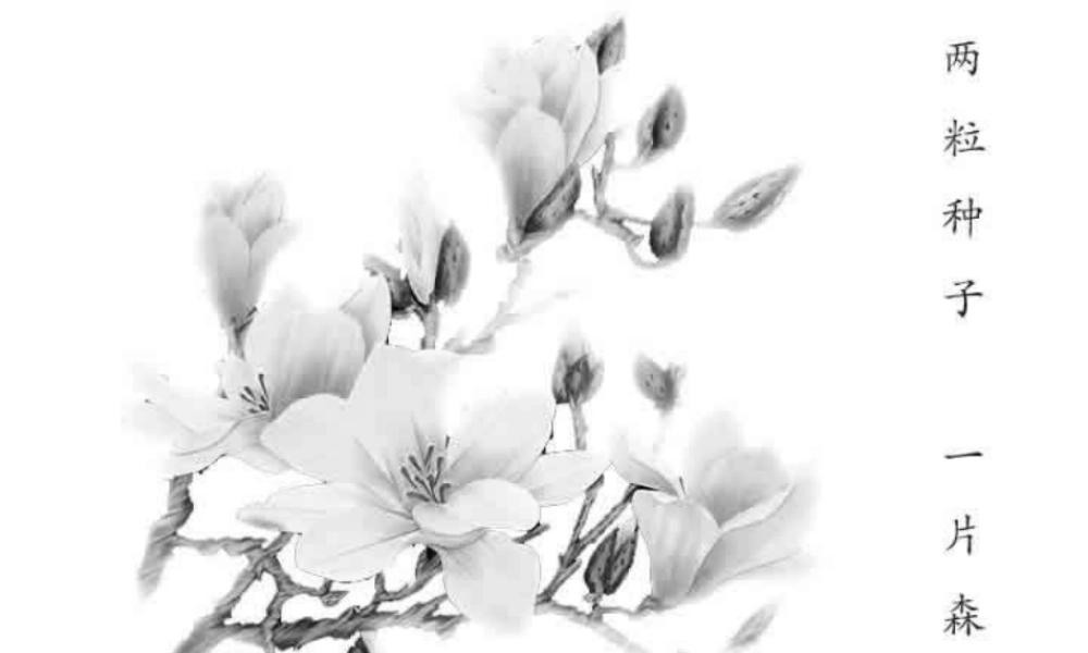 思想方法专题复习 化归与转化思想专题[整理] 课件