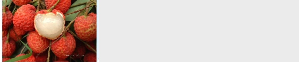 九年级物理 探究—电流与电压、电阻的关系课件 北师大版 课件