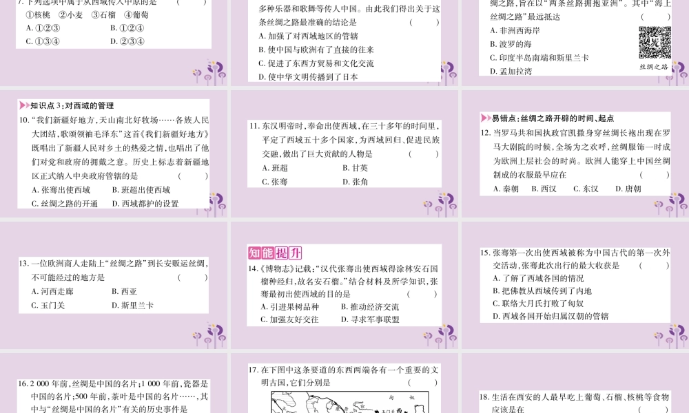 广西七年级历史上册 第3单元 秦汉时期 统一多民族国家的建立和巩固 第14课 沟通中外文明的 丝绸之路 课件 新人教版 课件