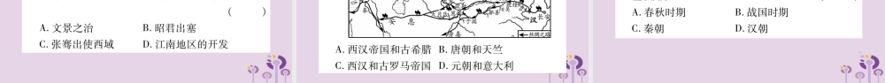 广西七年级历史上册 第3单元 秦汉时期 统一多民族国家的建立和巩固 第14课 沟通中外文明的 丝绸之路 课件 新人教版 课件