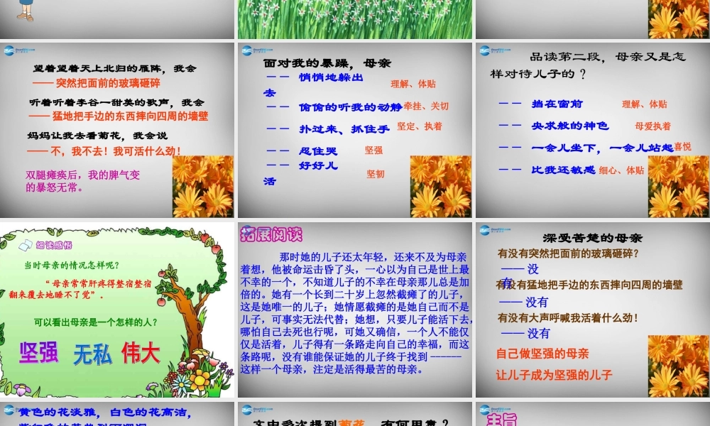 中学七年级语文上册(2 秋天的怀念)课件 (新版)新人教版 课件