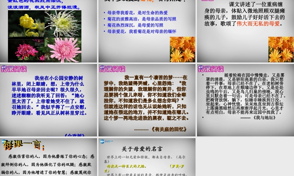 中学七年级语文上册(2 秋天的怀念)课件 (新版)新人教版 课件