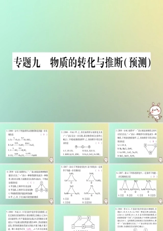 中考化学准点备考复习 第二部分 题型专题突破 专题9 物质的转化与推断(预测)课件 新人教版 课件