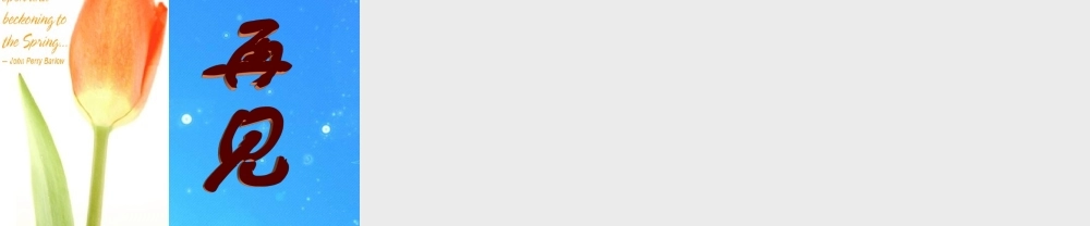 九年级政治 第2单元第5课(这是我的责任——播下责任的种子)课件 人民版 课件