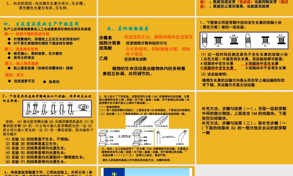 八年级科学上册 第六章第一节植物生命活动的调节课件 华东师大版 课件