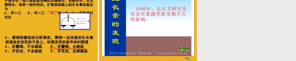 八年级科学上册 第六章第一节植物生命活动的调节课件 华东师大版 课件