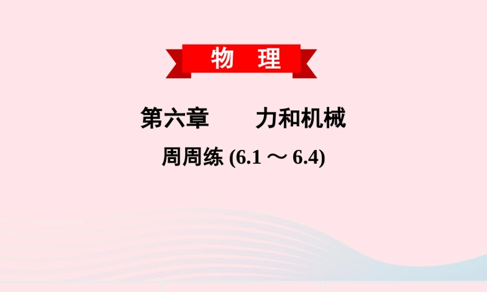 八年级物理下册 第六章 力和机械周周练(6.1 6.4)课件 (新版)粤教沪版 课件