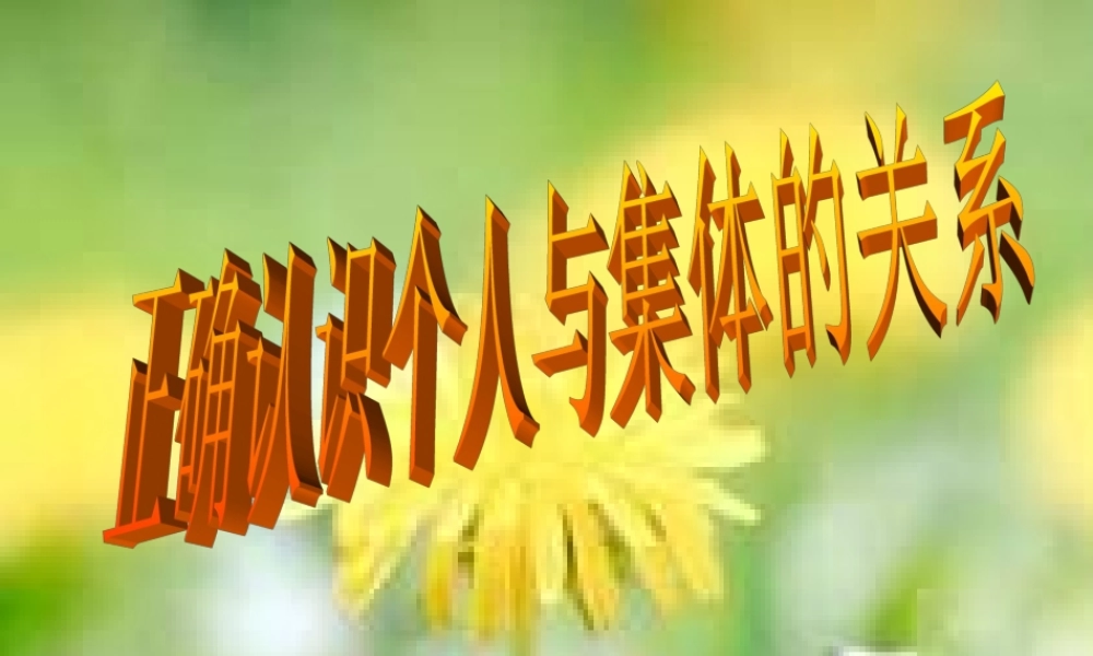 八年级政治下册 集体与个人的关系课件 北师大版 课件