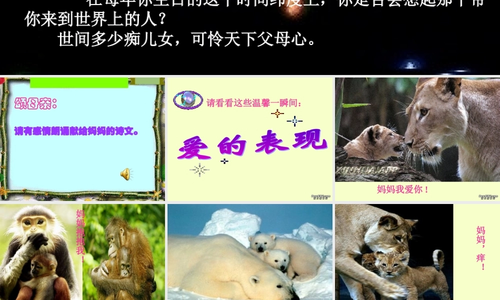 八年级语文献给母亲的歌综合实践课课件 人教版 课件