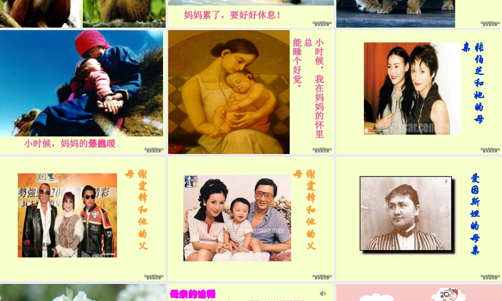 八年级语文献给母亲的歌综合实践课课件 人教版 课件