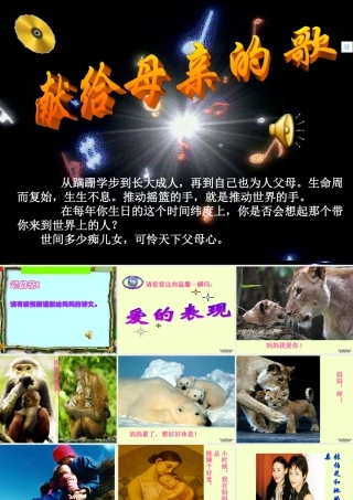 八年级语文献给母亲的歌综合实践课课件 人教版 课件