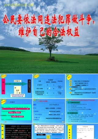 八年级政治上册(公民要依法同违法犯罪作斗争维护自己的合法权益)复习课件 人教新课标版 课件