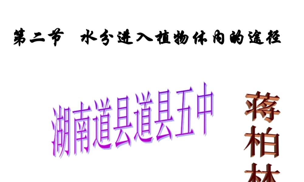 七年级生物上册 水分进入植物体内的途径课件 ppt 课件