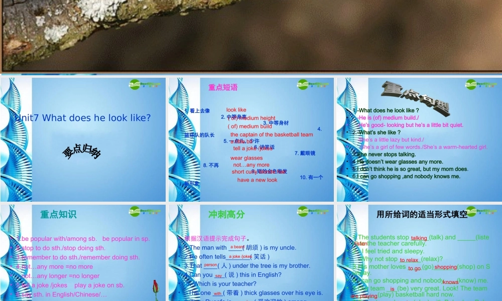 七年级英语下册 unit7 revision课件 人教新目标版 课件