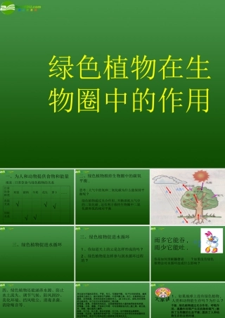 七年级生物上册 第7章绿色植物在生物圈中的作用复习课件 苏教版 课件