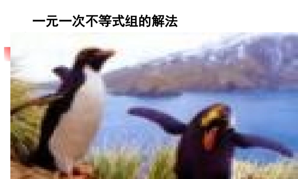 八年级数学 不等式组的解法课件一 八年级数学 不等式组的解法课件[整理两套] 八年级数学 不等式组的解法课件[整理两套]