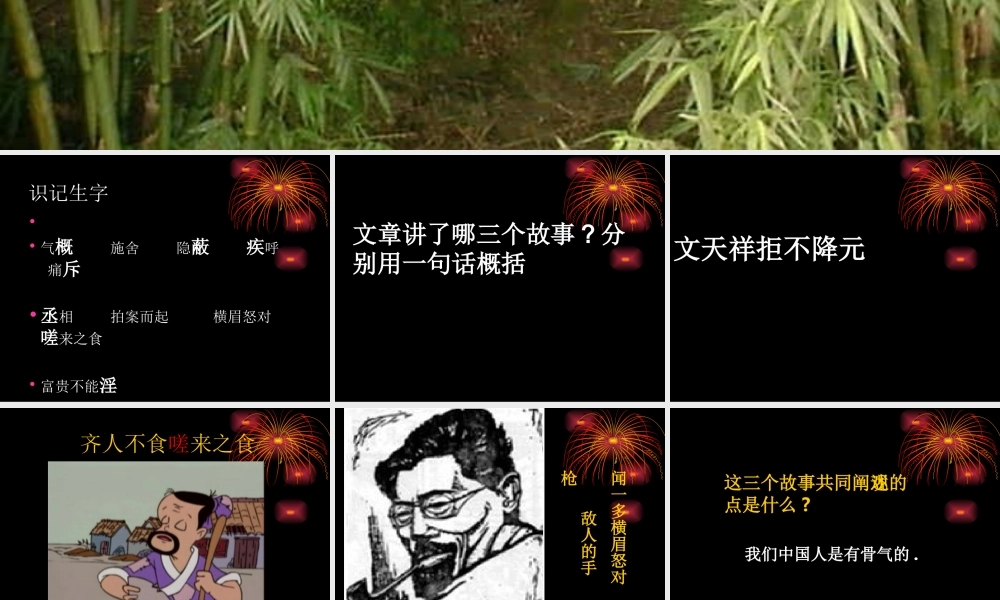 初三语文谈骨气课件 北京版 课件