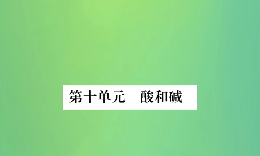中考化学总复习 教材考点梳理 第10单元 酸和碱课件