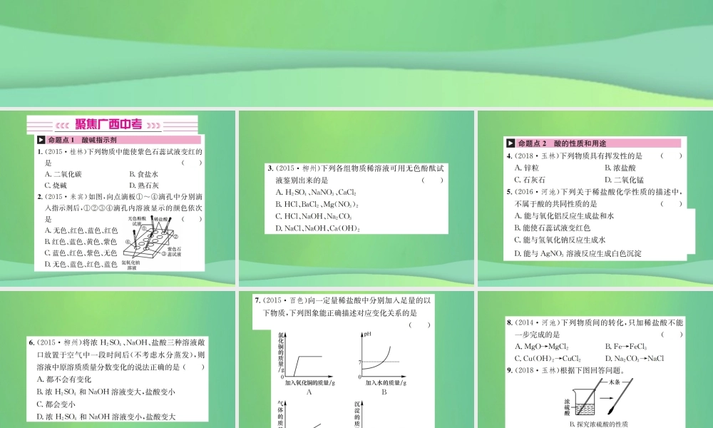 中考化学总复习 教材考点梳理 第10单元 酸和碱课件
