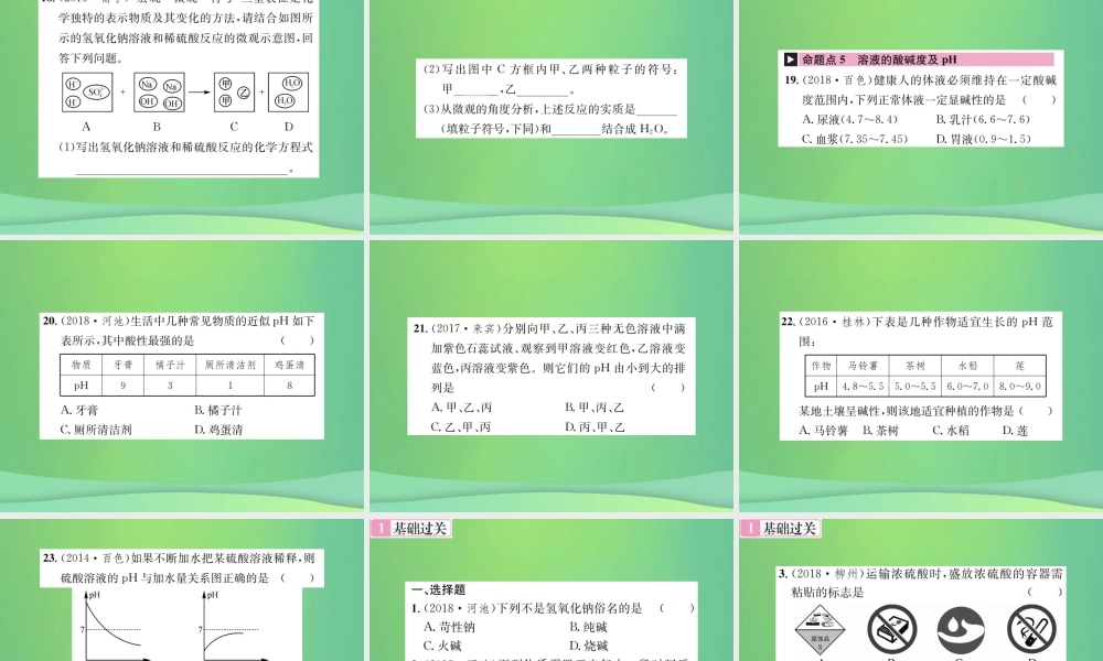 中考化学总复习 教材考点梳理 第10单元 酸和碱课件