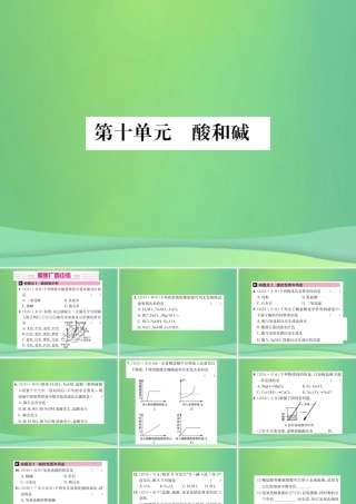 中考化学总复习 教材考点梳理 第10单元 酸和碱课件
