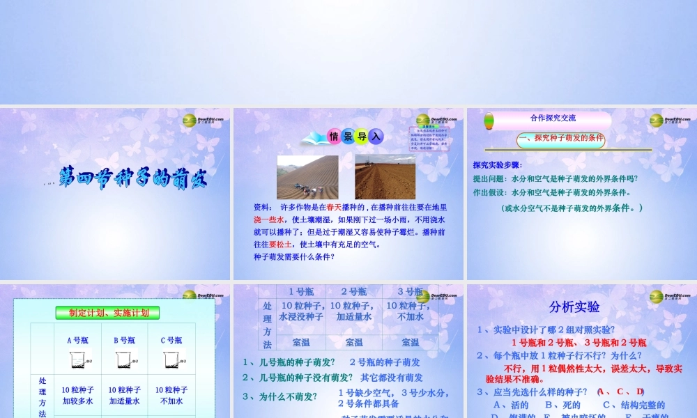 八年级生物上册 第四节 种子的萌发课件 济南版 课件