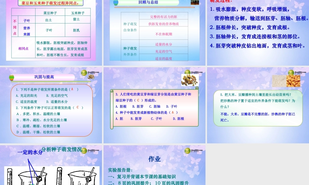 八年级生物上册 第四节 种子的萌发课件 济南版 课件