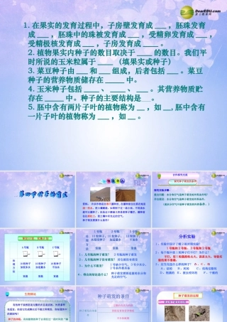 八年级生物上册 第四节 种子的萌发课件 济南版 课件