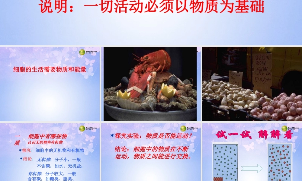 中学七年级生物上册(细胞的生活需要物质和能量)课件 新人教版 课件