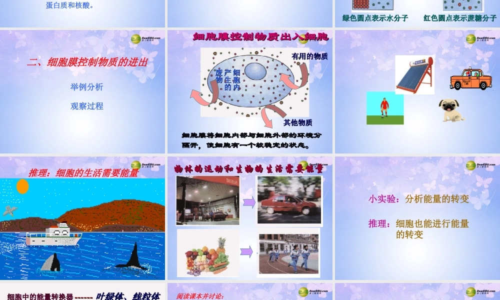 中学七年级生物上册(细胞的生活需要物质和能量)课件 新人教版 课件
