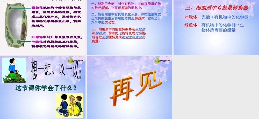 中学七年级生物上册(细胞的生活需要物质和能量)课件 新人教版 课件