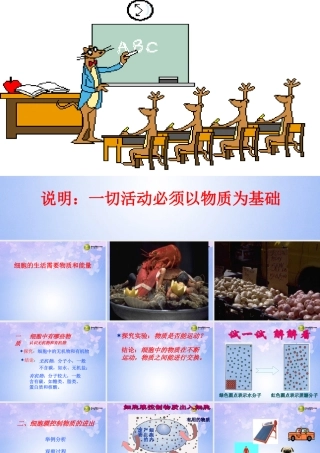 中学七年级生物上册(细胞的生活需要物质和能量)课件 新人教版 课件