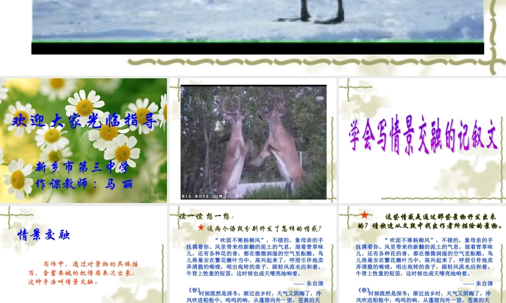 作文系列课件-学写情景交融的记