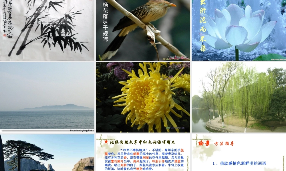 作文系列课件-学写情景交融的记