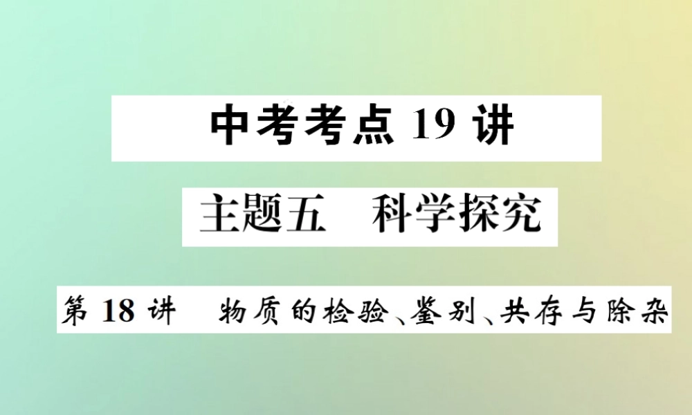 中考化学复习 主题五 科学探究 第18讲 物质的检验、鉴别、共存与除杂课件
