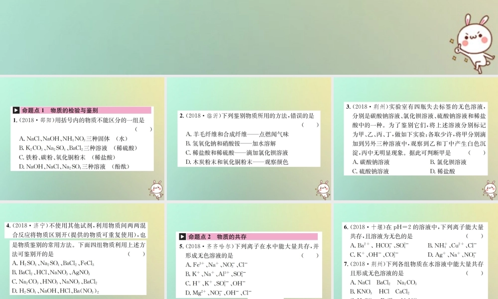 中考化学复习 主题五 科学探究 第18讲 物质的检验、鉴别、共存与除杂课件
